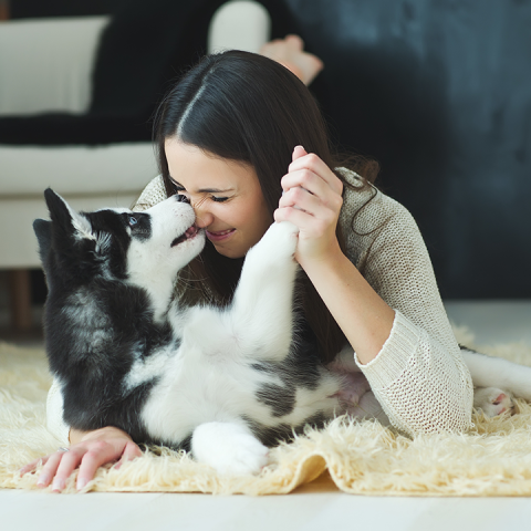 Apartment Resident playing with dog